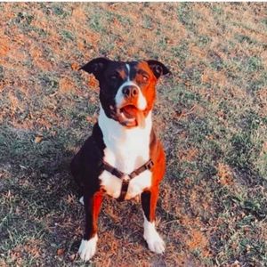 Meet your Posher, Mike